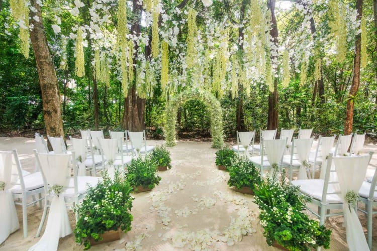 Rainforest Wedding Ceremony